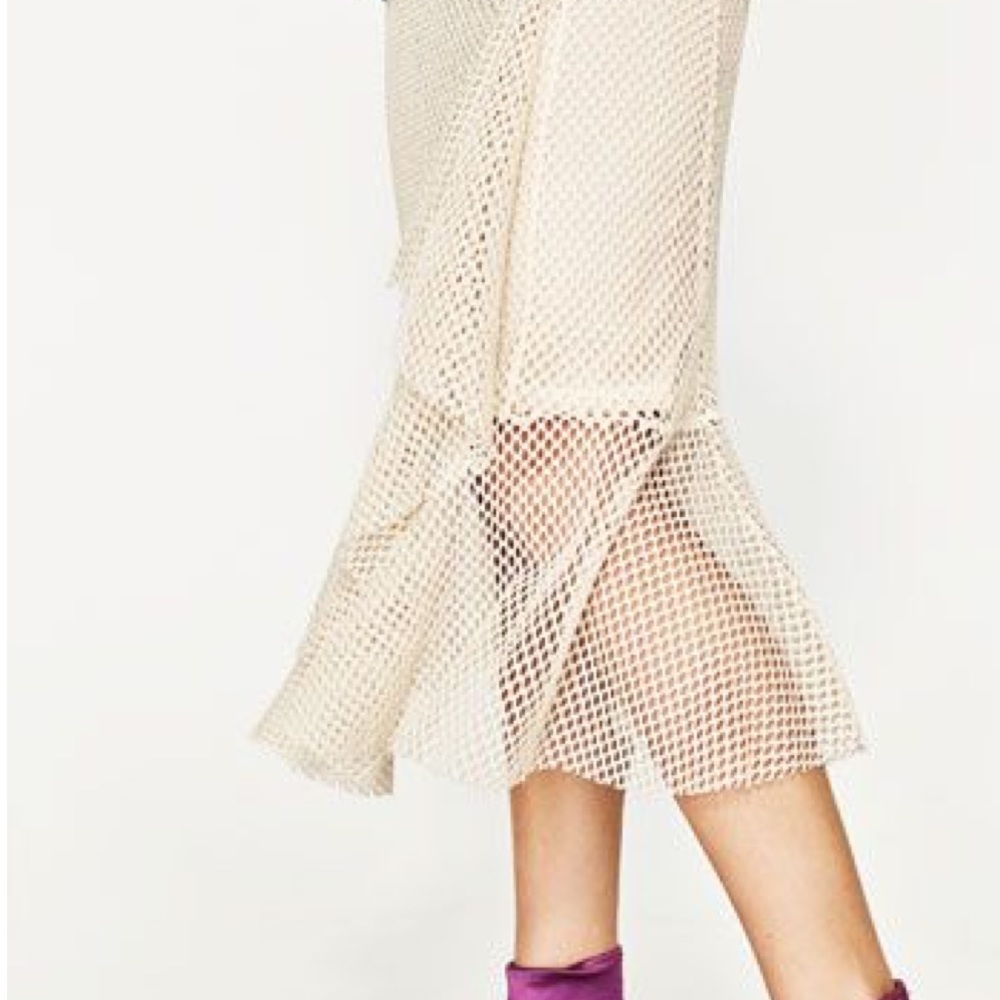 Zara Mesh Midi Skirt